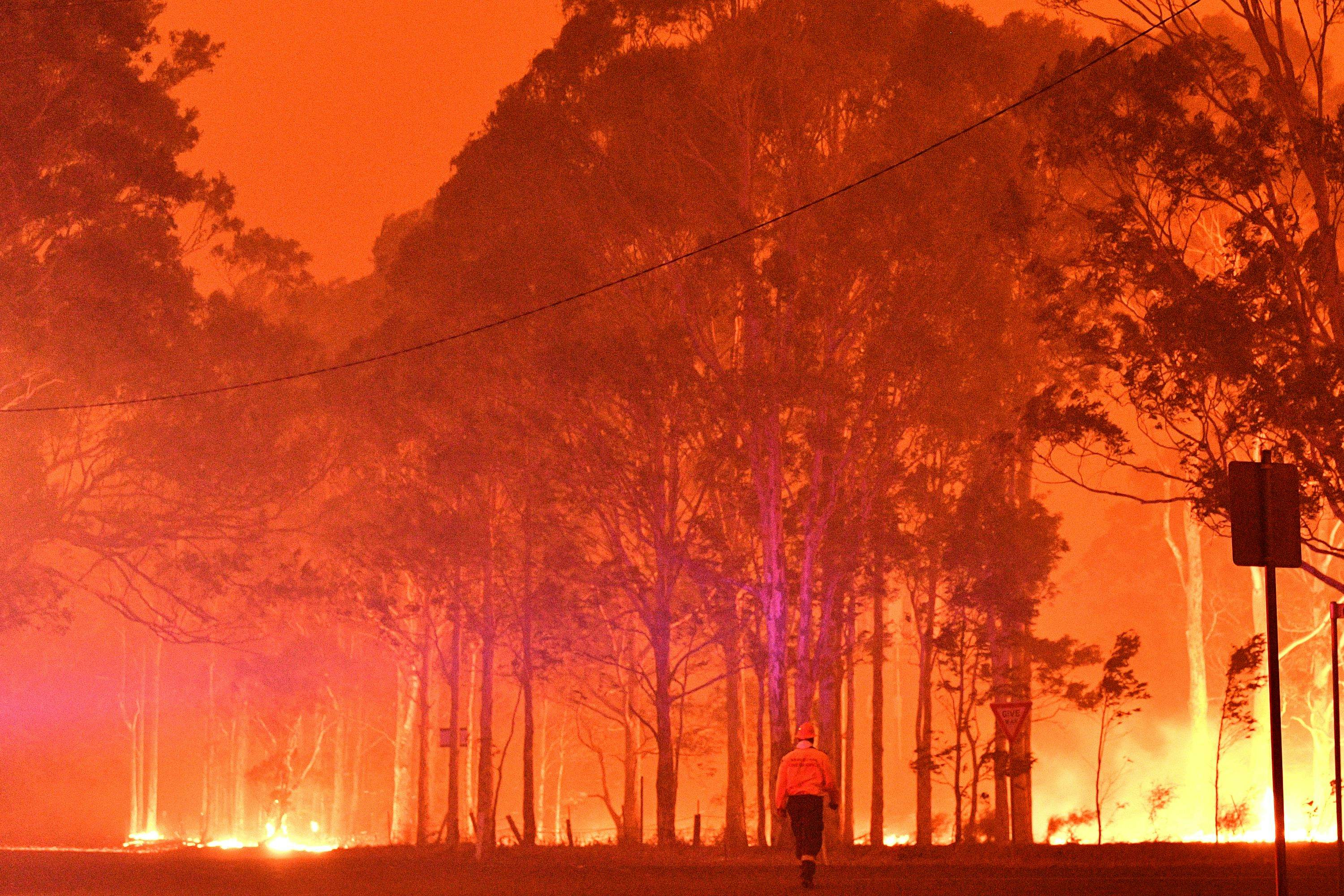 Australian Bushfires: What Should You Do If You Have A Trip Booked ...